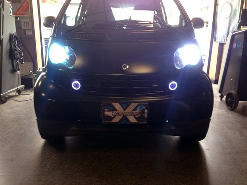 Kit xenon auto 6000k canbus - xenon, h7